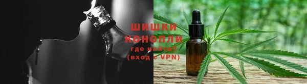 крисы Аркадак