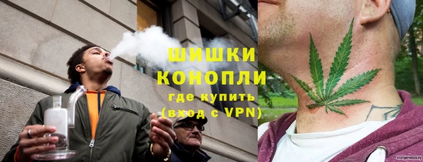 крисы Аркадак