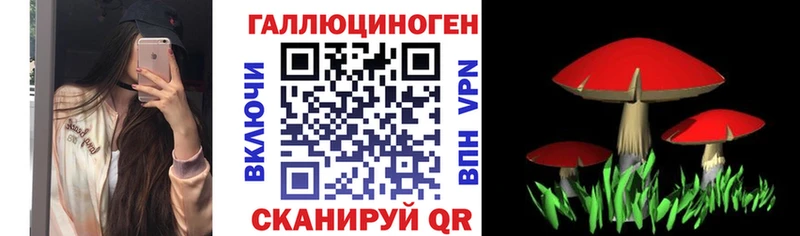 Псилоцибиновые грибы мицелий Купить где Краснослободск